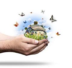 Environmental translation (text or documents)